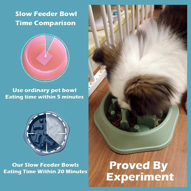 Non-Slip Slow Feeder Bowl for Small Dogs & Cats – Anti-Choke Design & Premium Food Container
