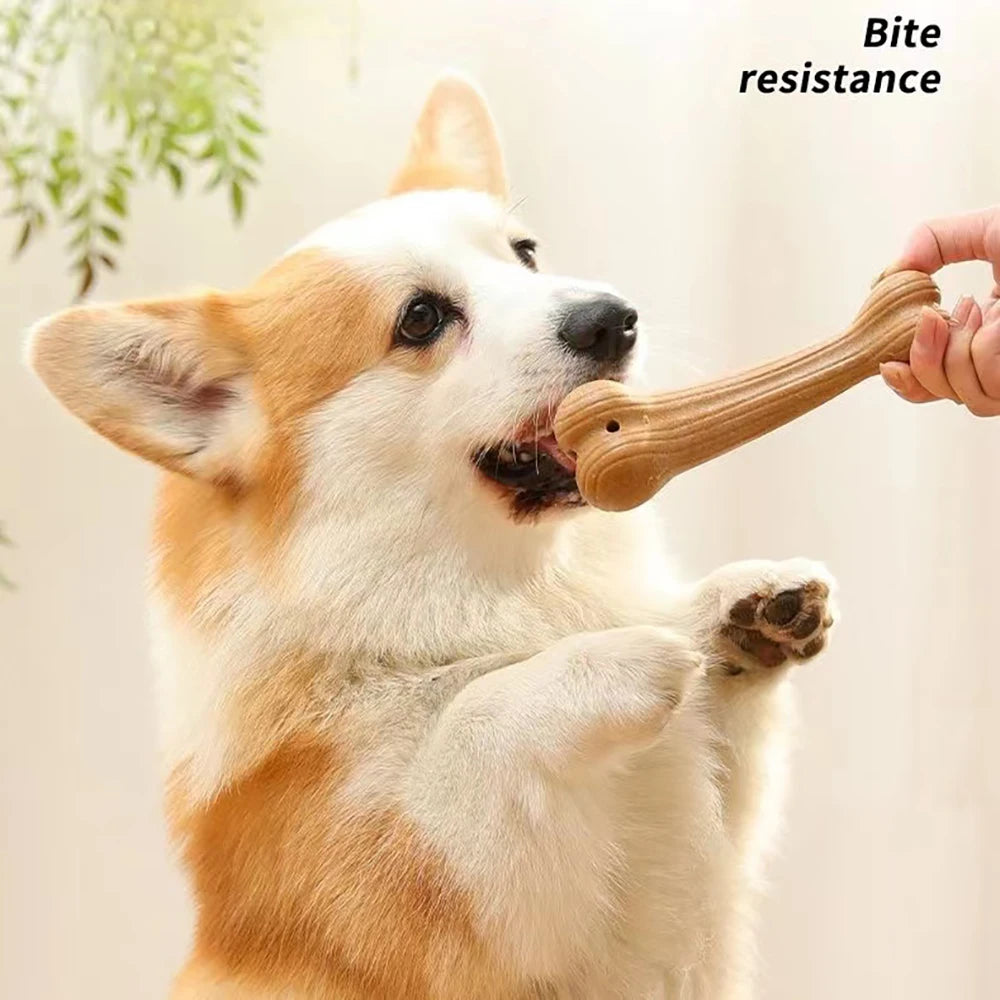 Bite-Resistant Dog Chew Toy – Durable Molar Cleaning Stick with Cute Bone Shape