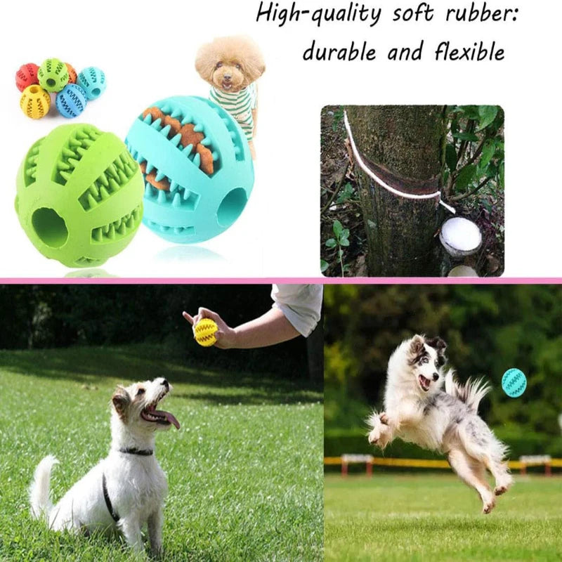 Interactive Rubber Chew Ball – Dental Cleaning & Treat Dispenser for Dogs & Cats
