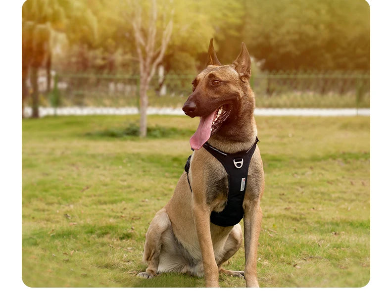 No-Pull Reflective Dog Harness – Adjustable, Padded Nylon Design for Effortless Control