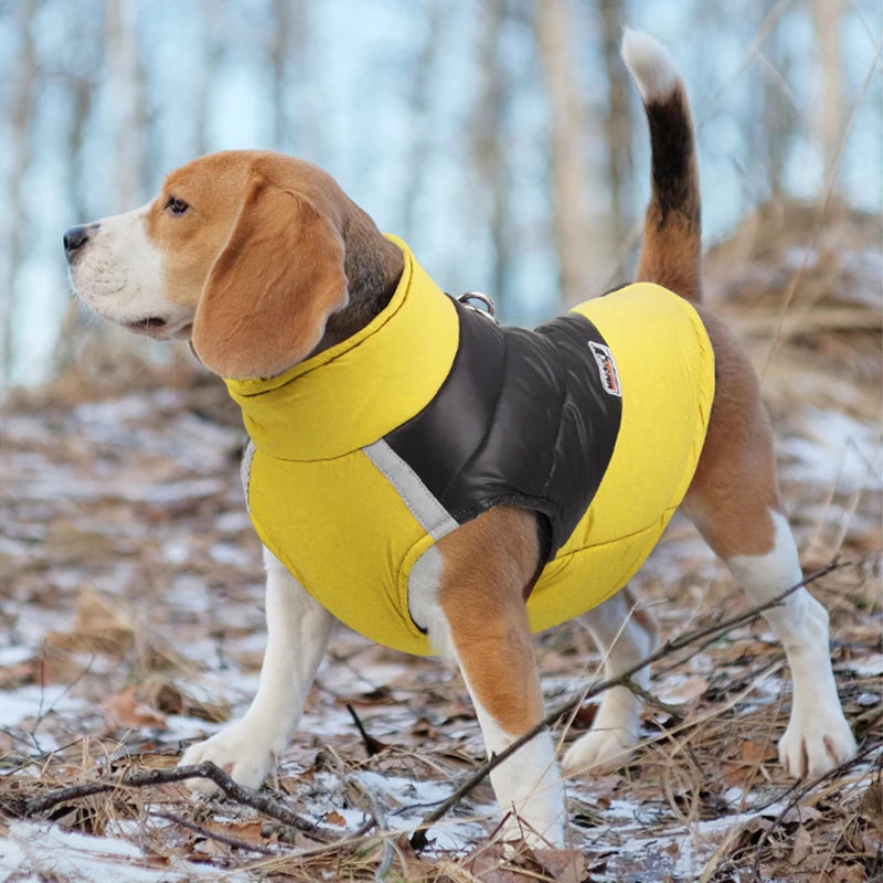 Waterproof Padded Dog Jacket – Cozy Winter Vest with Zipper for Small to Large Dogs