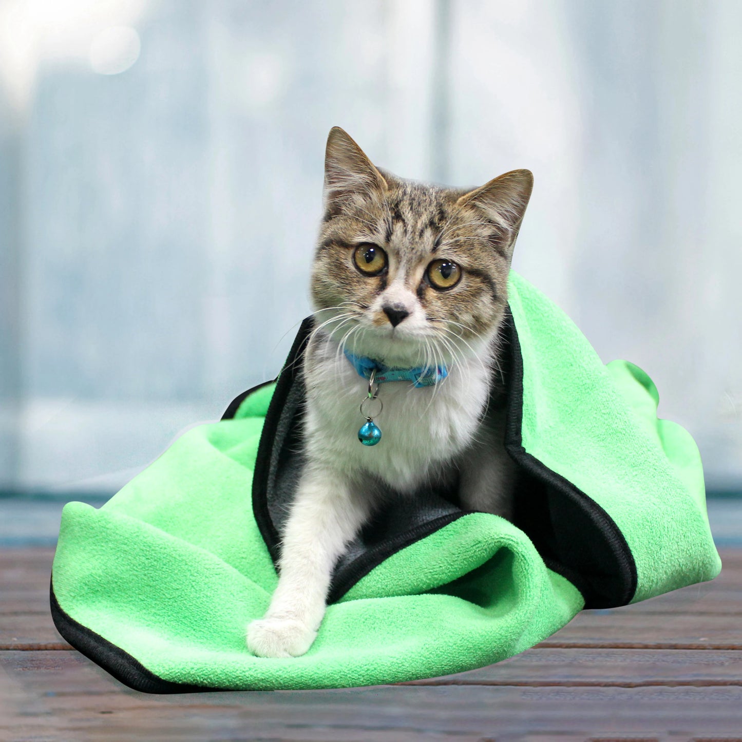 Quick-Dry Absorbent Pet Towel – Soft, Lint-Free Bath & Blanket for Dogs & Cats
