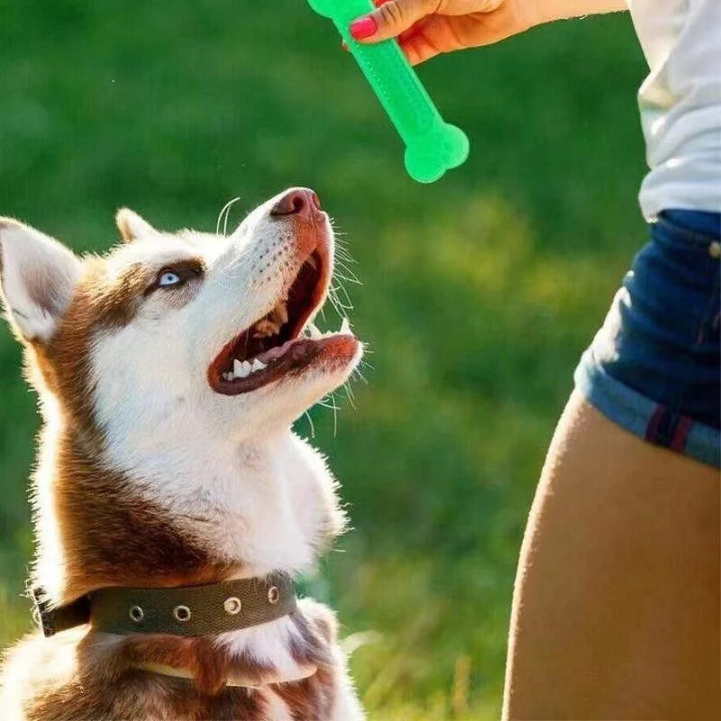 Rubber Bone Chew Toy – Durable Toothbrush Design for Aggressive Chewers & Puppy Dental Care