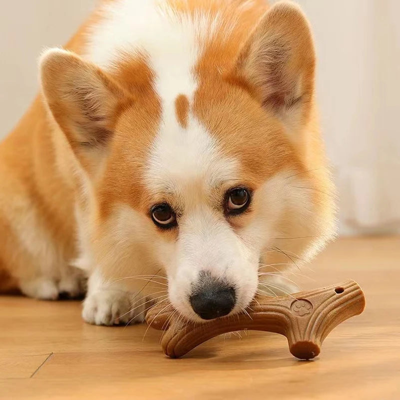 Bite-Resistant Dog Chew Toy – Durable Molar Cleaning Stick with Cute Bone Shape