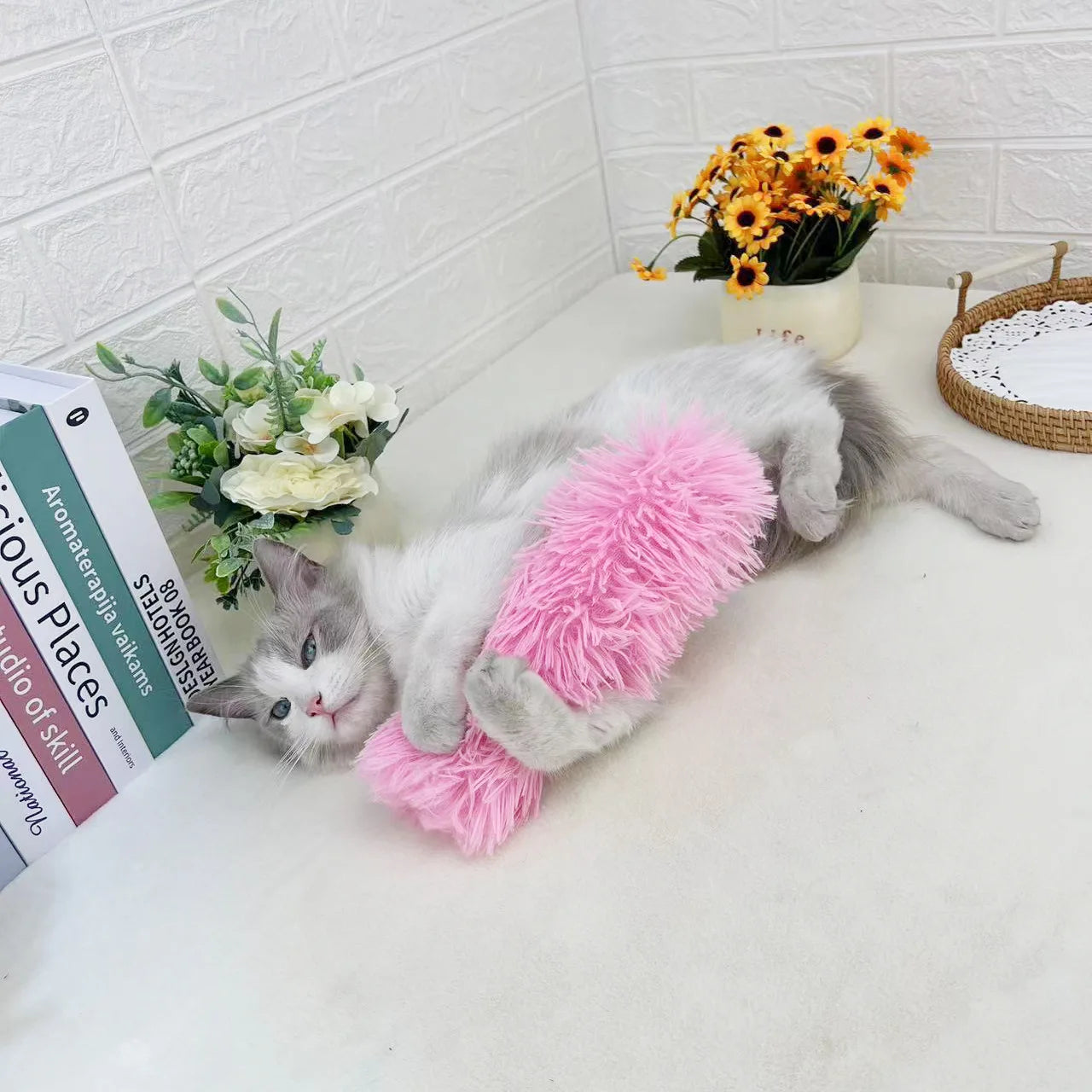 Catnip-Infused Plush Chew Toy – Soft Teaser Pillow & Interactive Playstrip for Cats