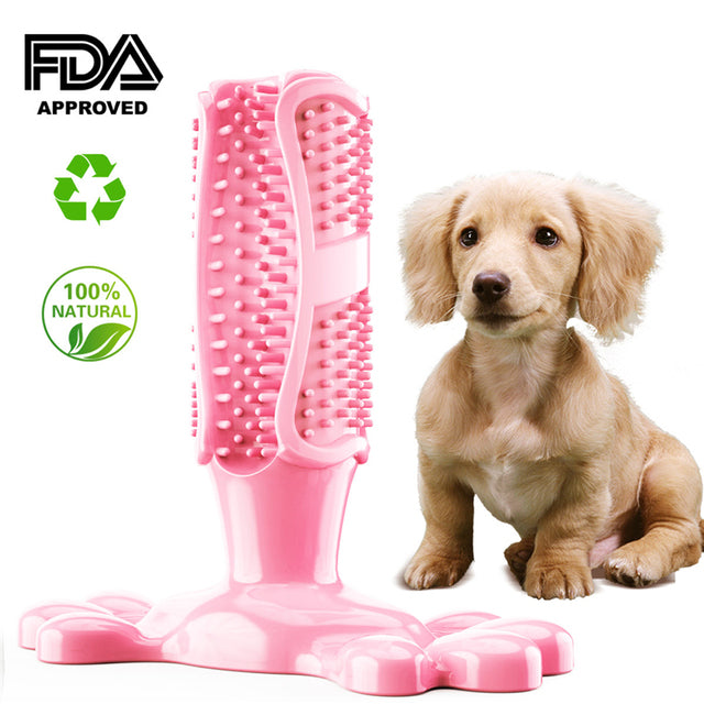 Cactus Dog Tooth Grinding Stick - Interactive Chewing Toy