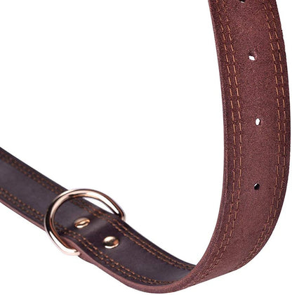 Heavy-Duty Genuine Leather Dog Collar – Vintage Double D-Ring, Rustproof Design for Medium-Large Breeds