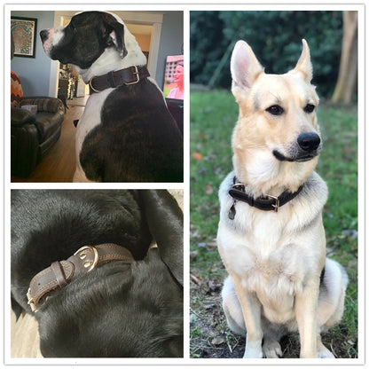 Heavy-Duty Genuine Leather Dog Collar – Vintage Double D-Ring, Rustproof Design for Medium-Large Breeds