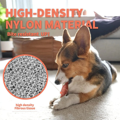 Indestructible Flavored Nylon Chew Bone for Aggressive Chewers – Non-Toxic & Bite-Resistant Dog Toy by All For Paws