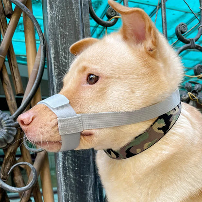 Escape-Proof Dog Muzzle – Adjustable Anti-Chew Mask for Small to Large Breeds & Short-Muzzled Pets