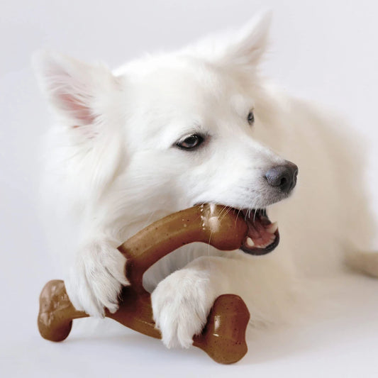 Bacon-Flavoured Dog Chew Toy – Durable Food-Grade Nylon Bone for Teeth Cleaning & Satisfaction