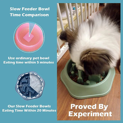 Non-Slip Slow Feeder Bowl for Small Dogs & Cats – Anti-Choke Design & Premium Food Container