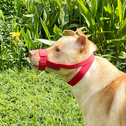 Escape-Proof Dog Muzzle – Adjustable Anti-Chew Mask for Small to Large Breeds & Short-Muzzled Pets