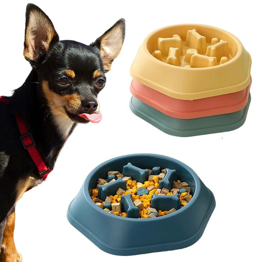 Non-Slip Slow Feeder Bowl for Small Dogs & Cats – Anti-Choke Design & Premium Food Container