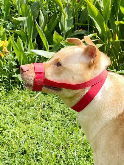 Escape-Proof Dog Muzzle – Adjustable Anti-Chew Mask for Small to Large Breeds & Short-Muzzled Pets
