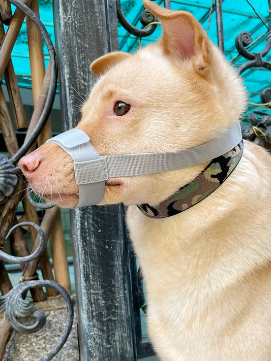 Escape-Proof Dog Muzzle – Adjustable Anti-Chew Mask for Small to Large Breeds & Short-Muzzled Pets