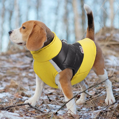 Waterproof Padded Dog Jacket – Cozy Winter Vest with Zipper for Small to Large Dogs