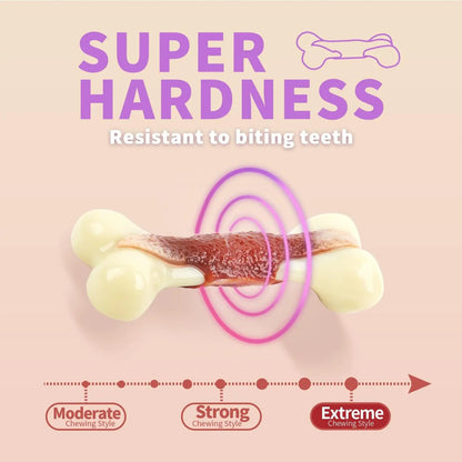 Indestructible Flavored Nylon Chew Bone for Aggressive Chewers – Non-Toxic & Bite-Resistant Dog Toy by All For Paws