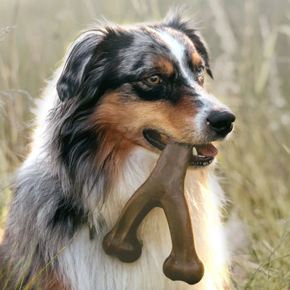 Bacon-Flavoured Dog Chew Toy – Durable Food-Grade Nylon Bone for Teeth Cleaning & Satisfaction