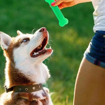 Rubber Bone Chew Toy – Durable Toothbrush Design for Aggressive Chewers & Puppy Dental Care