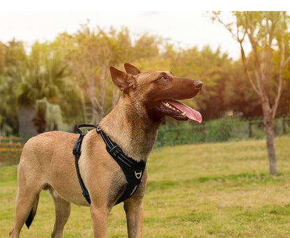 No-Pull Reflective Dog Harness – Adjustable, Padded Nylon Design for Effortless Control