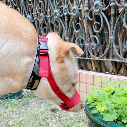 Escape-Proof Dog Muzzle – Adjustable Anti-Chew Mask for Small to Large Breeds & Short-Muzzled Pets