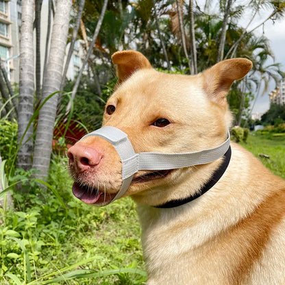 Escape-Proof Dog Muzzle – Adjustable Anti-Chew Mask for Small to Large Breeds & Short-Muzzled Pets