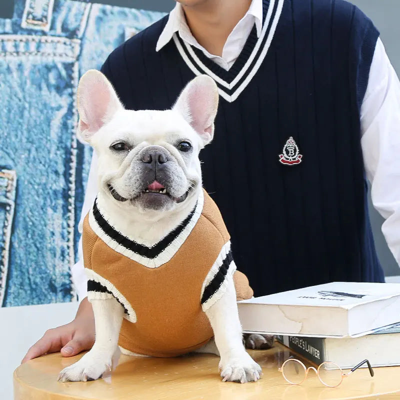 College-Style Pet Sweater – Cozy Winter Clothes for Small & Medium Dogs and Cats