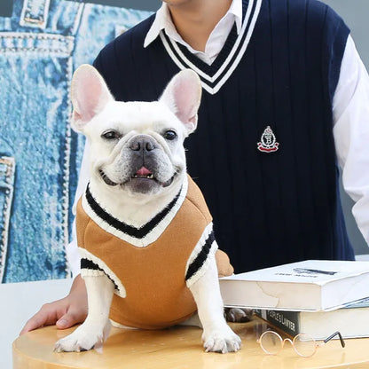 College-Style Pet Sweater – Cozy Winter Clothes for Small & Medium Dogs and Cats
