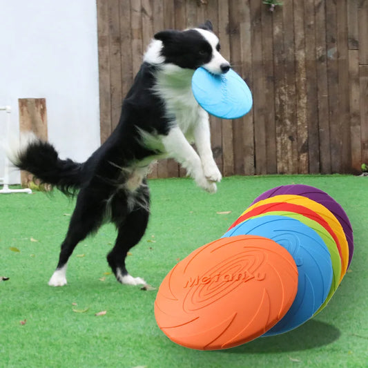 Bite-Resistant Flying Disc for Dogs – Ultimate Outdoor Interactive Training & Fetch Toy