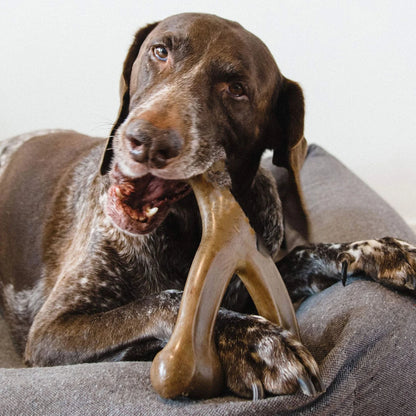 Bacon-Flavoured Dog Chew Toy – Durable Food-Grade Nylon Bone for Teeth Cleaning & Satisfaction