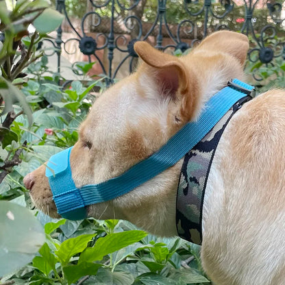 Escape-Proof Dog Muzzle – Adjustable Anti-Chew Mask for Small to Large Breeds & Short-Muzzled Pets