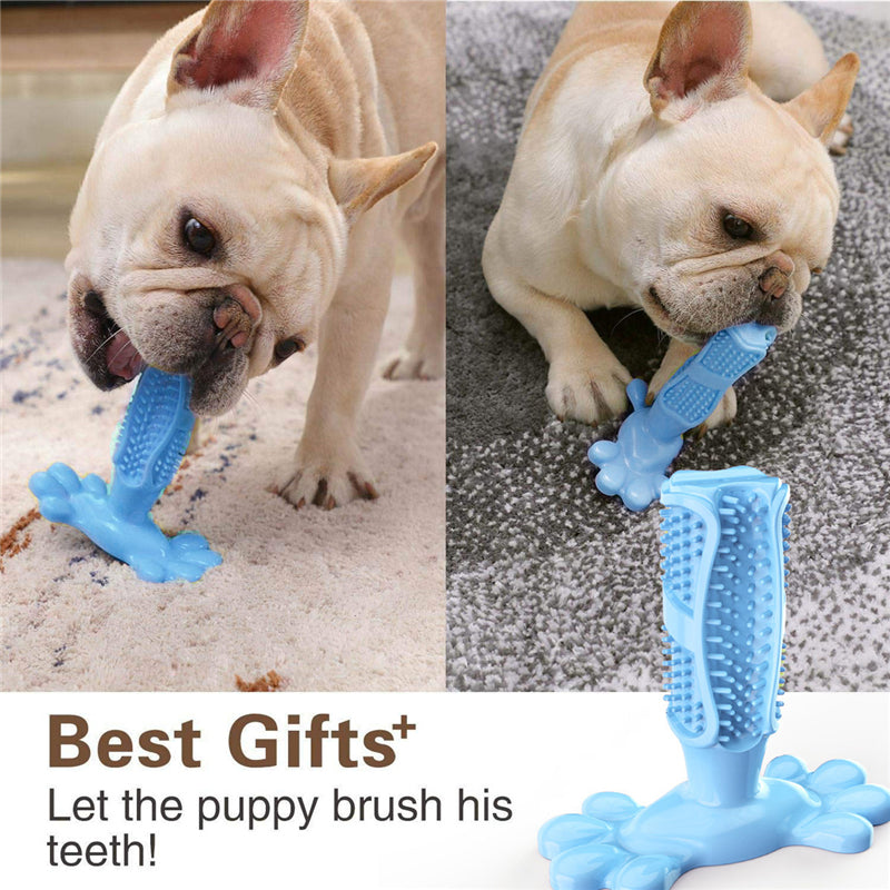Cactus Dog Tooth Grinding Stick - Interactive Chewing Toy