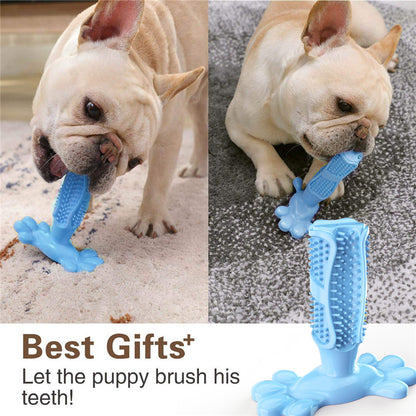 Cactus Dog Tooth Grinding Stick - Interactive Chewing Toy